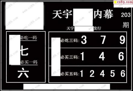 3d203期：天宇一句定三码+胆码图