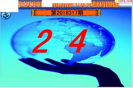 3d317期：天宇一句定三码+胆码图