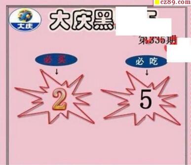 大庆黑胆王图18335期