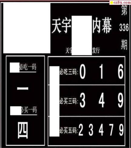 3d336期：天宇一句定三码+胆码图