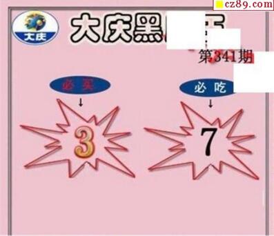 3d341期：大庆黑胆王全图+一语真言