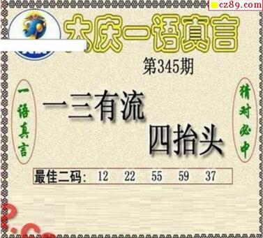 大庆黑胆王图18345期